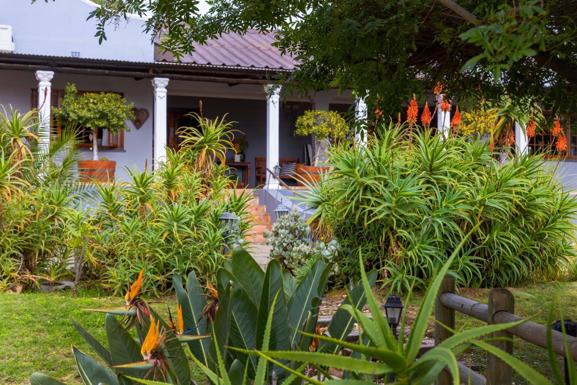 Thylitshia Villa Country Guest House Oudtshoorn Exterior foto