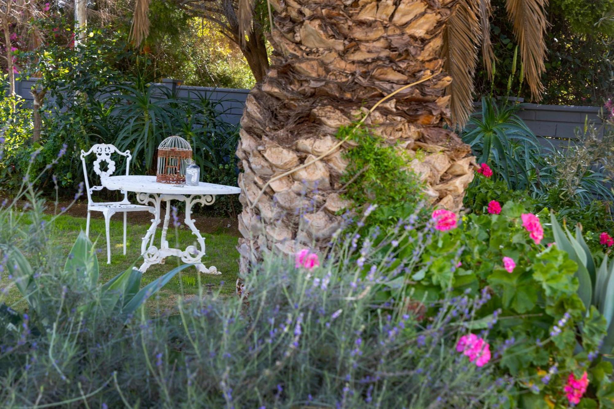 Thylitshia Villa Country Guest House Oudtshoorn Exterior foto